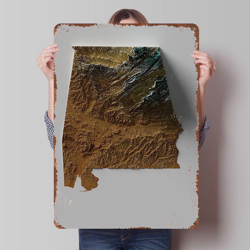 Alabama Topographic Map Metal  - Custom Map Poster บทวิจารณ์และราคา