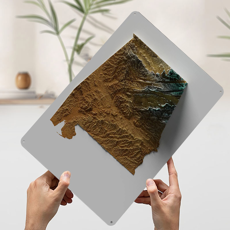 Alabama Topographic Map Metal  - Custom Map Poster บทวิจารณ์และราคา