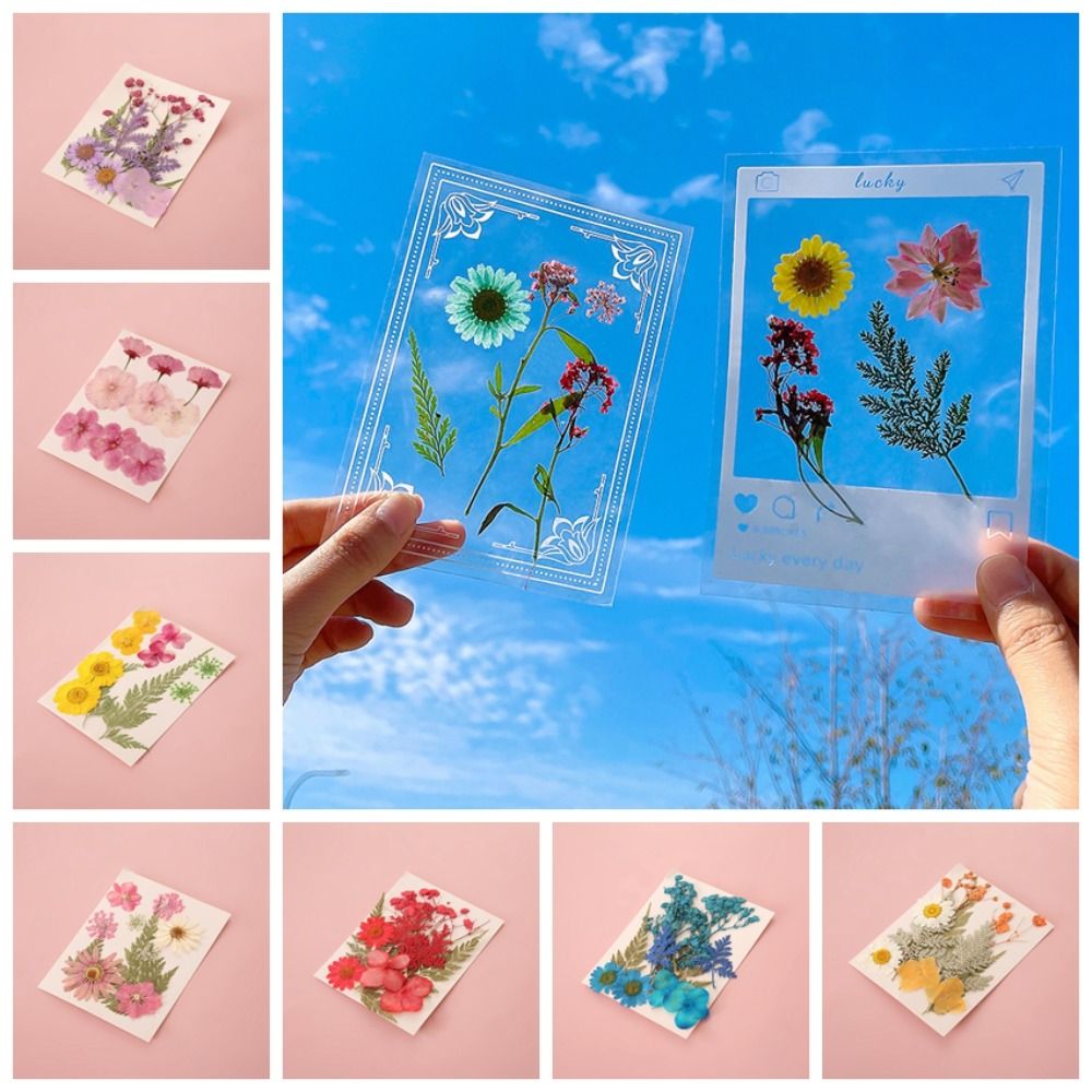 DIY Materials DIY Dried Flower - Dried Flower Bookmark บทวิจารณ์และราคา