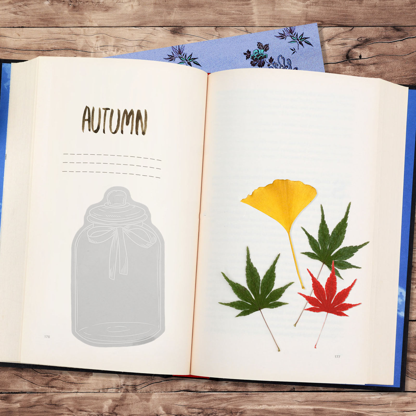 20 Sheet Clear Pressed Flower  - Dried Flower Bookmark บทวิจารณ์และราคา