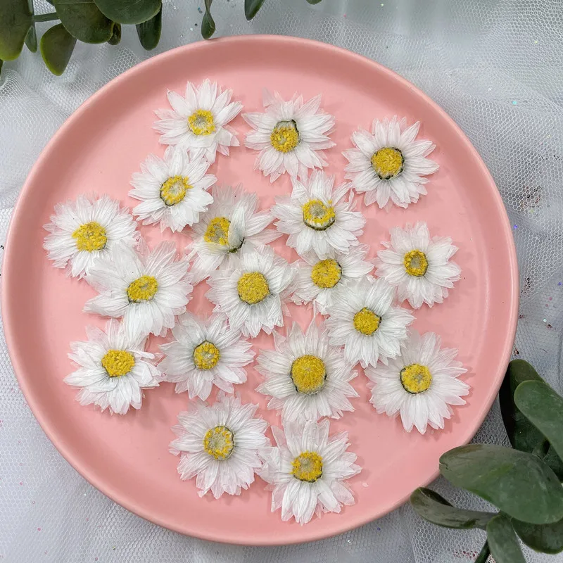 24pcs/2-4CM,Natural Pressed Fl - Dried Flower Bookmark บทวิจารณ์และราคา
