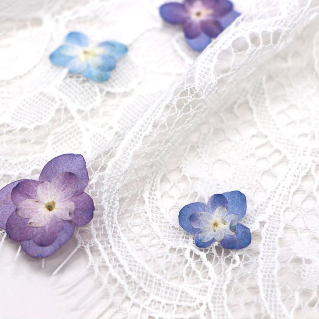 60Pcs Mini Double-Flowered Hyd - Dried Flower Bookmark บทวิจารณ์และราคา