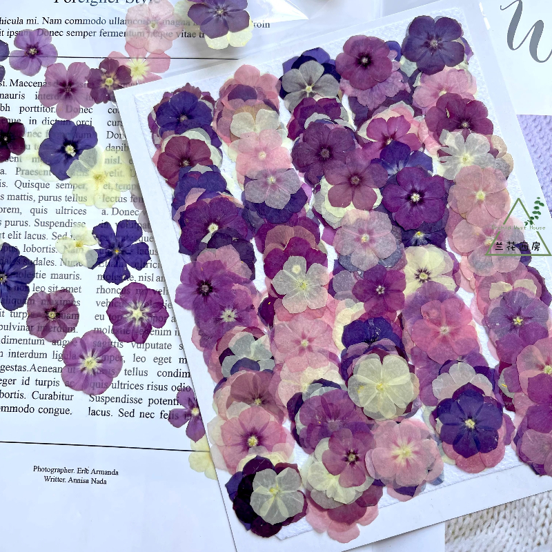 12pcs,Semi-Transparent Niche P - Dried Flower Bookmark บทวิจารณ์และราคา