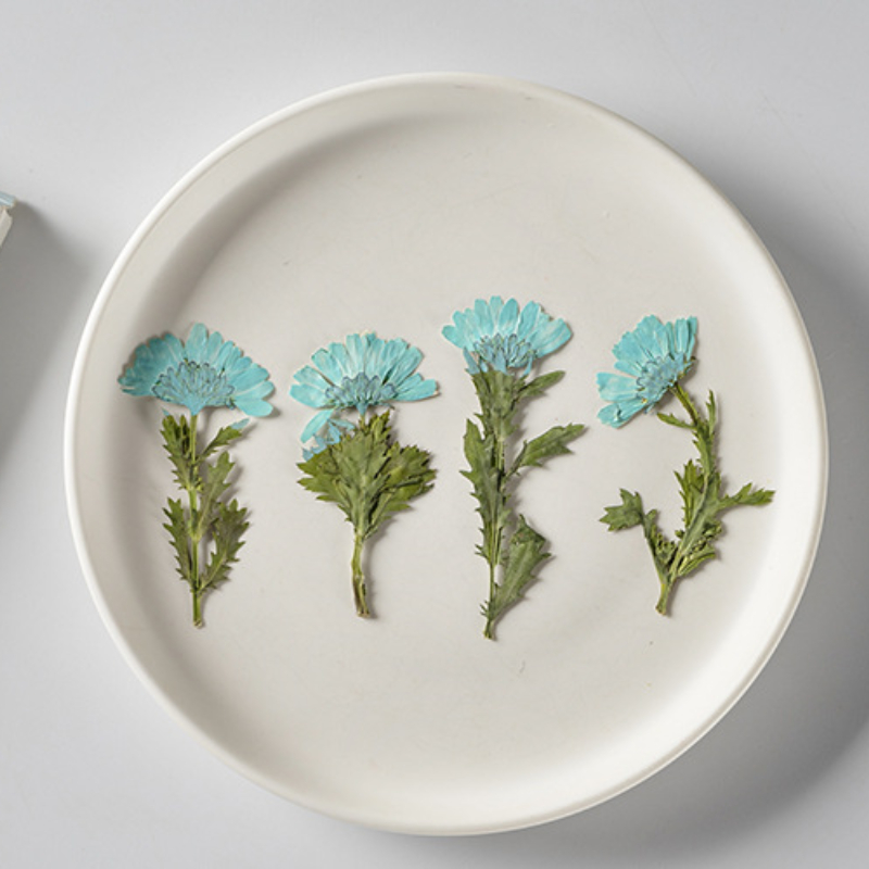 5-8cm/24pcs,Side pressed cryst - Dried Flower Bookmark บทวิจารณ์และราคา